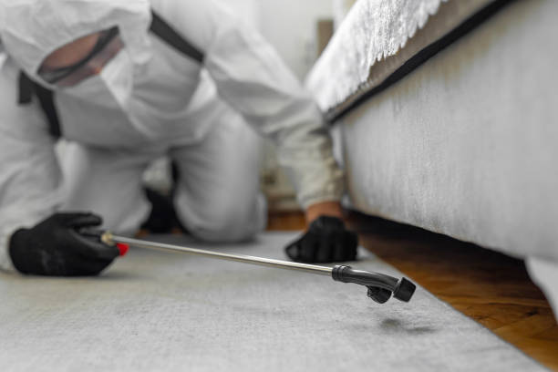 Professional Bed Bug Control technician working in Acadia Parish County, LA
